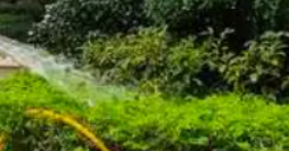 廣州金躍園林綠化工程養護的注意事項